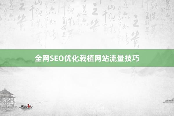 全网SEO优化栽植网站流量技巧